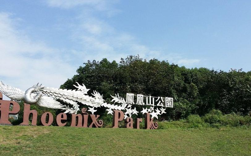 国东盟艺术学院建设正式招标! 凤凰山机场要搬