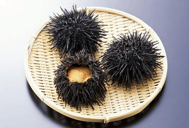 五, 农村以前1个鸡蛋换10个海胆,现在"风水轮流转"