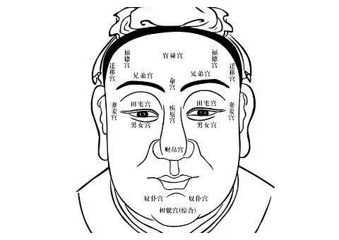 面相 面相分析几大关键点