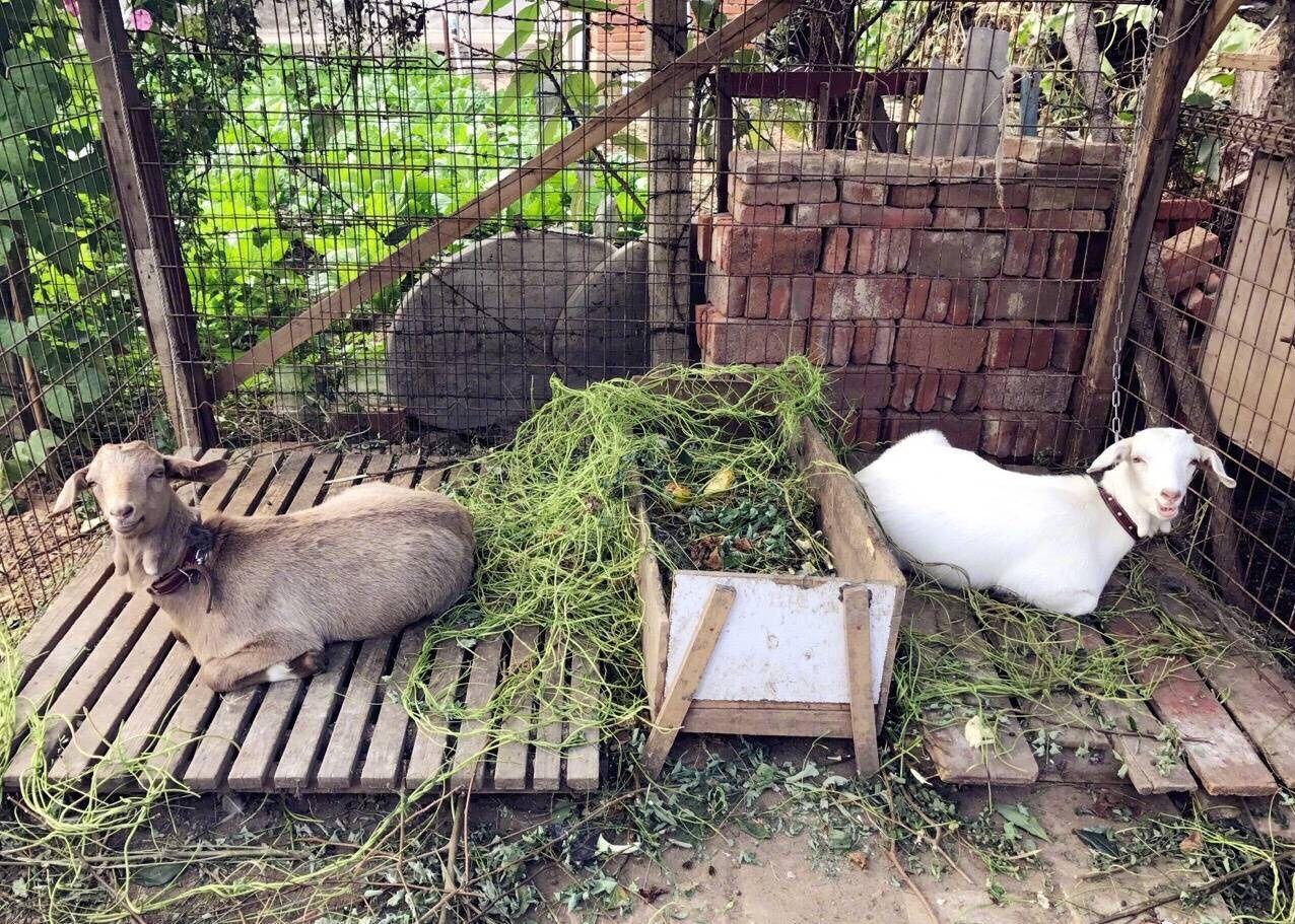 董洁中秋回农村看爷爷奶奶, 晒乡村美食, 可网友却还不放过她!