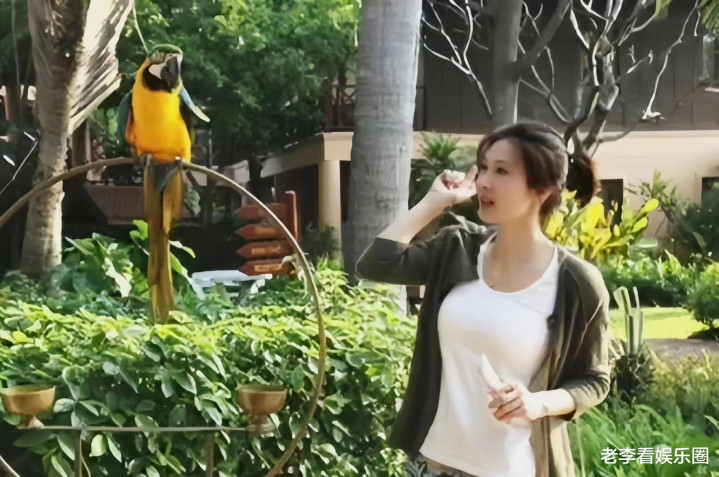 ���������Ĵ�����: ����仯���, ������������ȴ��������!(����İ���������)