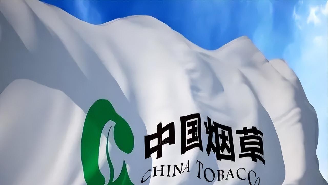 中国烟草连续3年亏损40亿, 电网、铁路也亏损! 钱都到哪儿去了?(李逵×宋江)