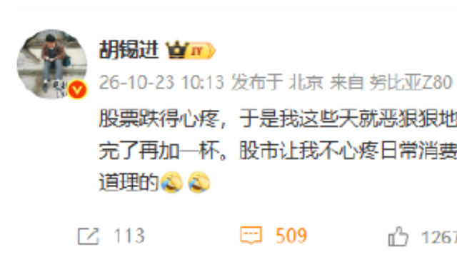 胡锡进：股票跌得心疼