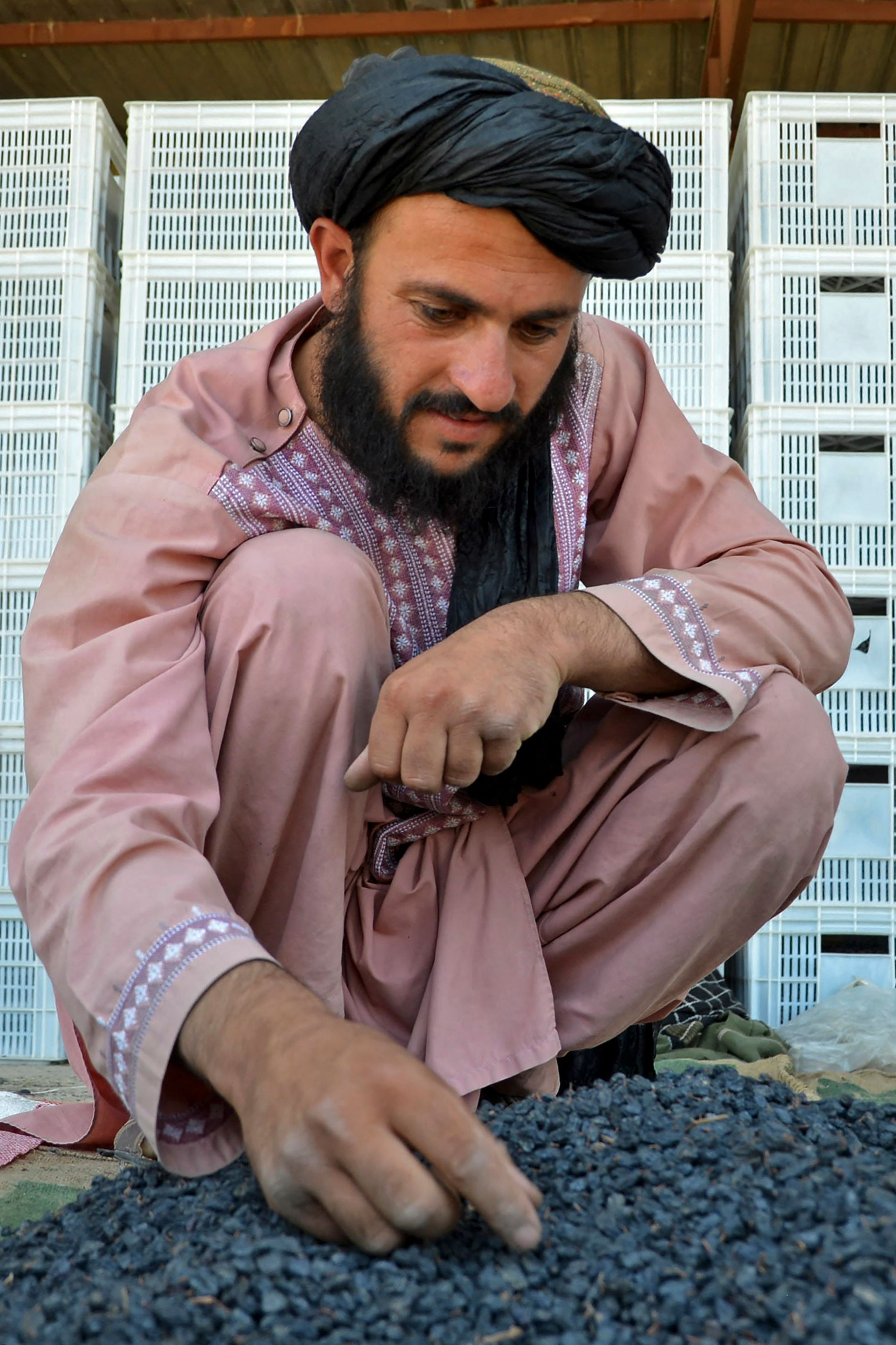 阿富汗的干果加工厂_zzd_学生时代