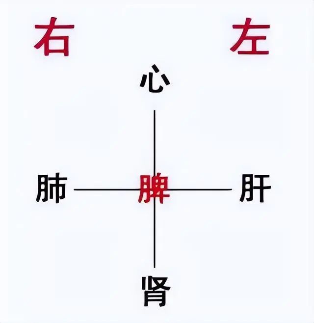 左肝右肺,上心下肾,对应着捏捏四边,方法很简单,用食指伸到我们的肚脐