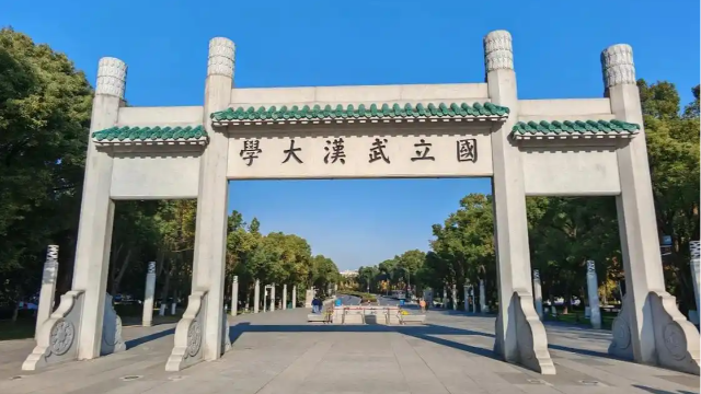 武大杨某媛疑到西班牙读博遭跨国举报，胡锡进发声