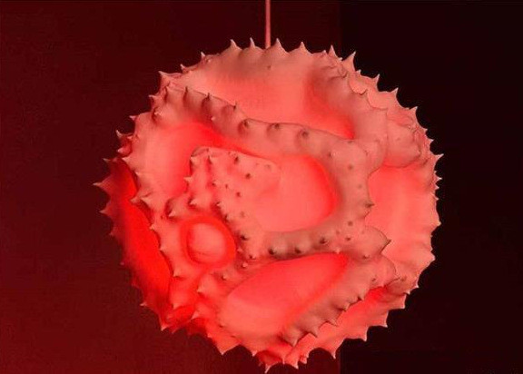 微观世界的另一种美! 3D打印的花粉灯
