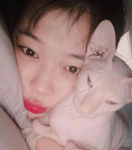 雪莉再晒家居照, 抢镜的却是她的猫