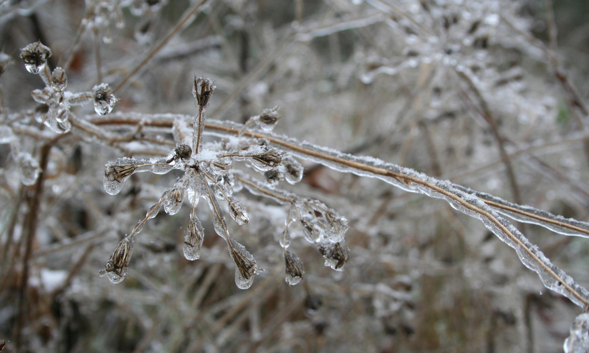 哈尔滨-2℃呵气成霜，广州冲30℃高温：南北温差超32℃，今年冬天别被“暖冬”骗了