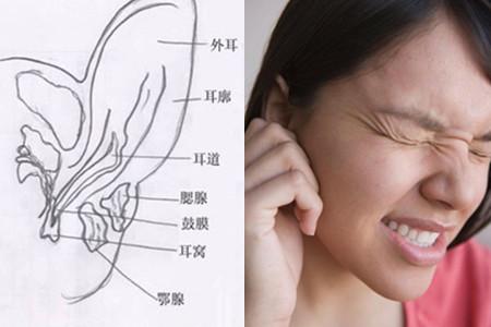 耳膜穿孔耳朵会流血吗 几个方法有效保护鼓膜