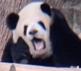 �����糡����, ����¾����, �е�����