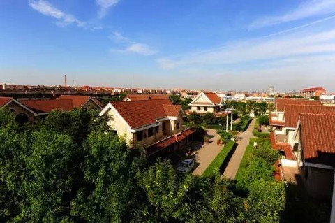 (大邱庄镇示范小城镇鸟瞰图) 生宝黑猪被国家农业部认定为"大邱庄黑猪