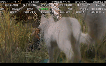 今晚开播! 36集古装悬疑探案剧来了, 13位实力派坐镇, 又是一部开年黑马剧