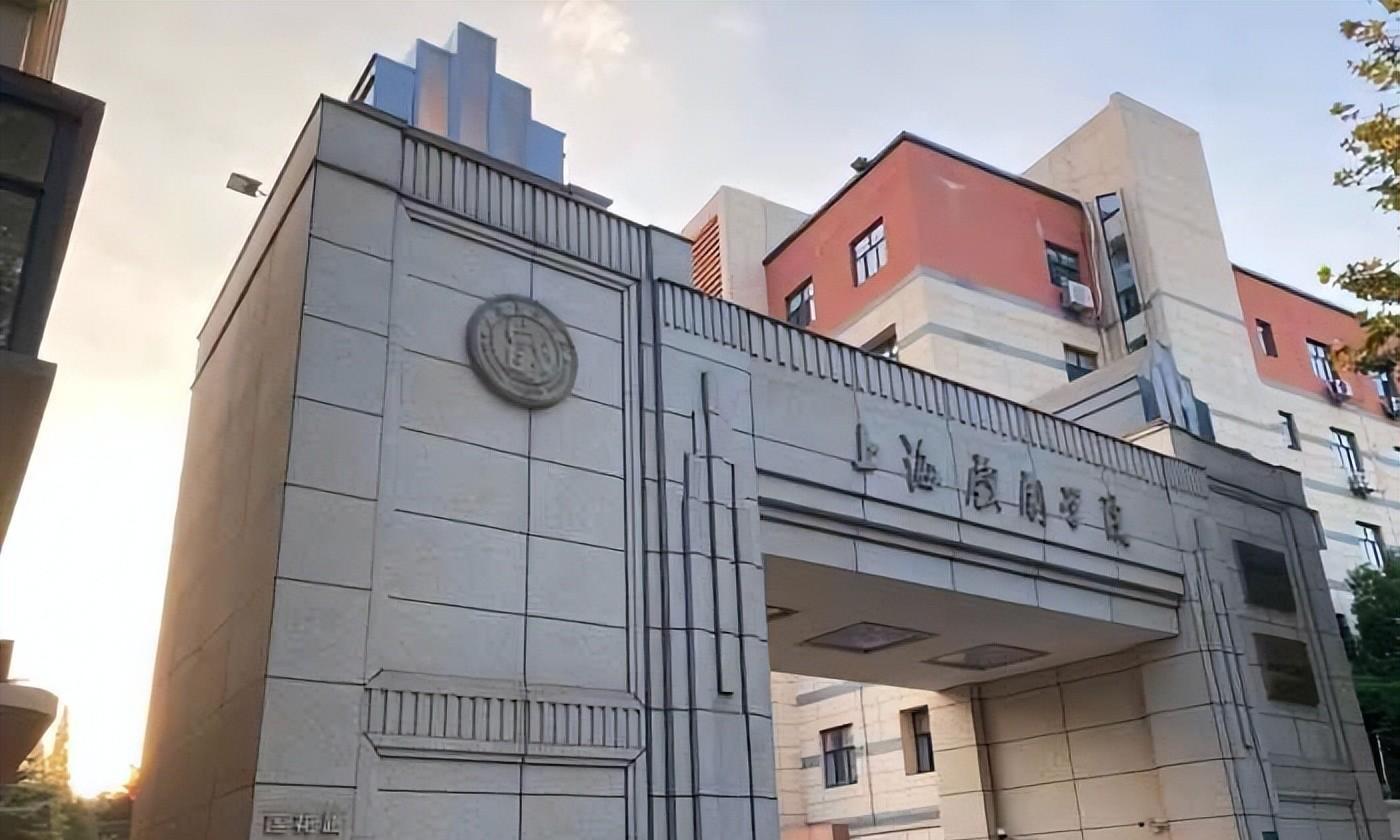 上戏院长驳颜值至上！15分钟初试，防腐逻辑逼考官只看脸