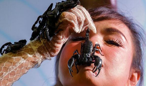 泰国女子吃蝎子十年, 任何男人都不敢娶其为妻