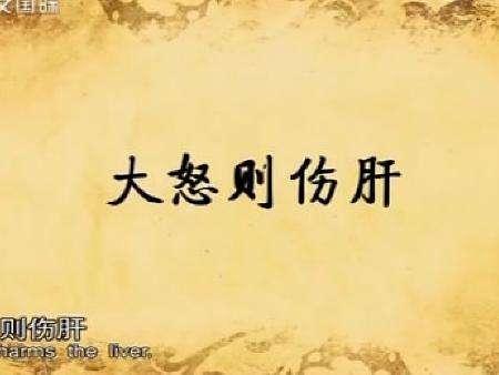 生气后的成本 看完再也不生气了