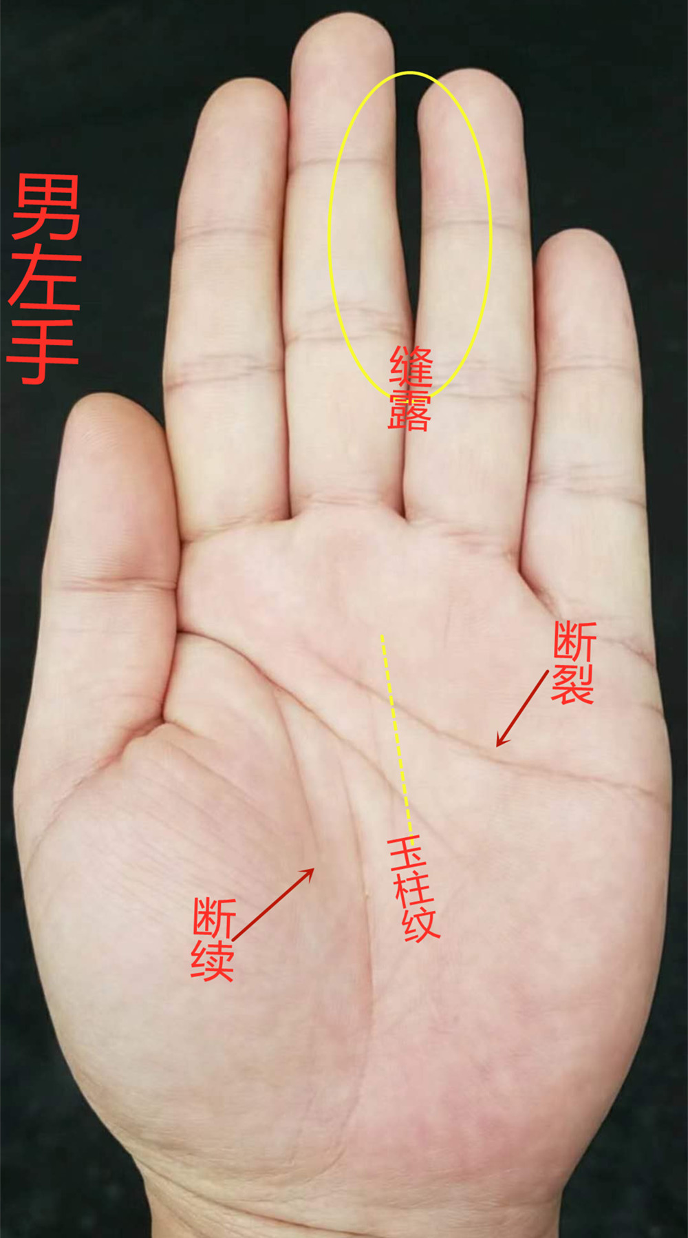 手相 30歲以後 日子越來越紅火的特征 時光新聞