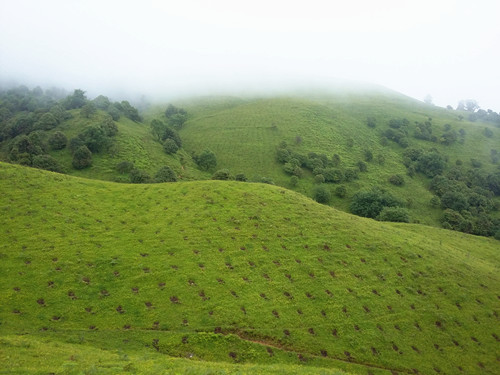隆阳区绿化荒山在行动(砥砺奋进的五年)