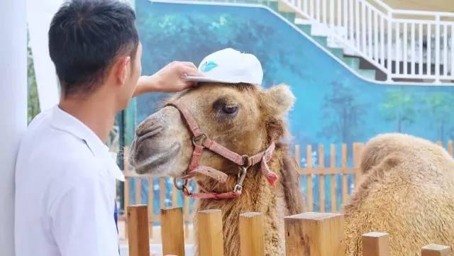 成都 | 为了给你们写这篇水上攻略, 我花了整整12个小时!
