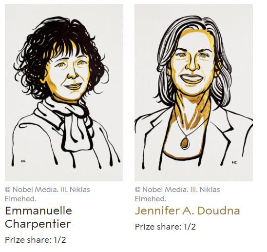 诺贝尔|2020诺贝尔化学奖揭晓 2名女科学家获奖