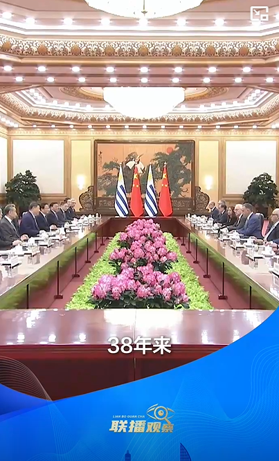 中乌元首共商合作新篇章：跨越山海的典范实践