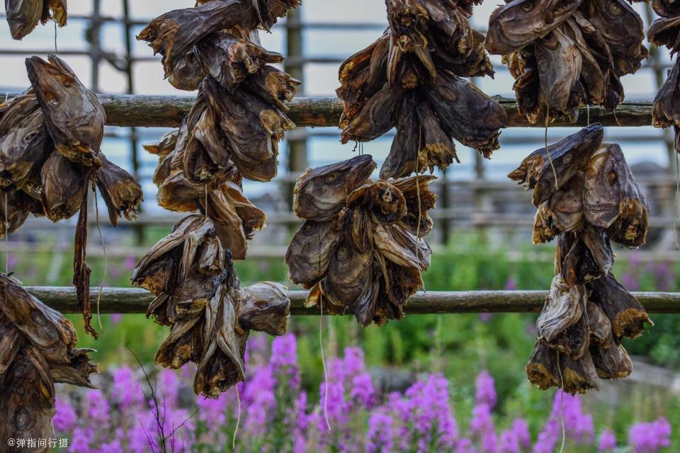 中国挪威关系恶化,挪威与中国的关系_鱼头在