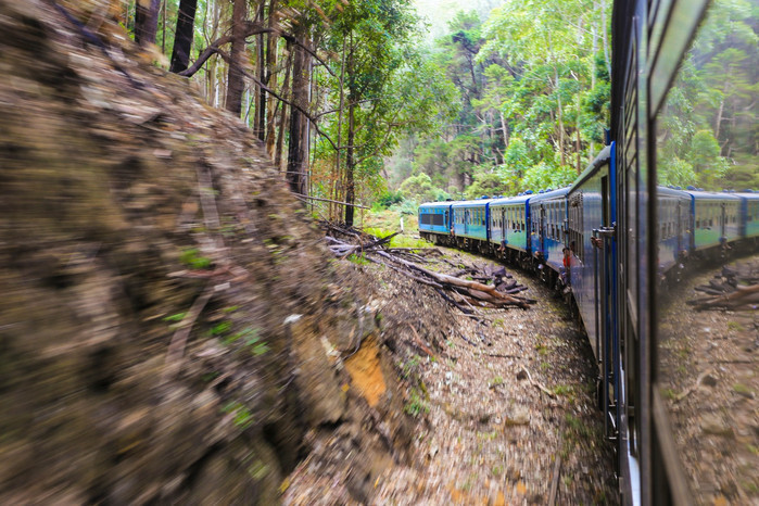 掛火車飛馳在高山茶園