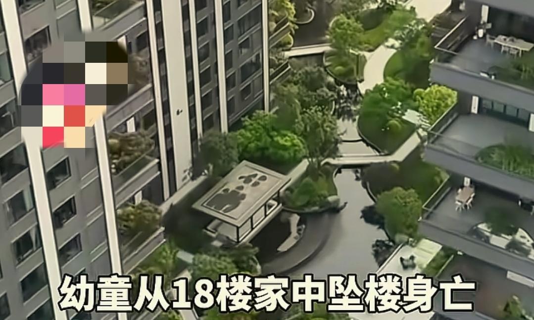 12分钟遛狗，2岁子18楼坠亡！父称等判决，母拟申请立案监督