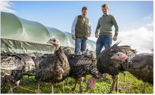 ���Ӿ硶���塷, �ı���ͬ��С˵, �Ƿ�����Ϊ������ʵԭ������ɸı�ʧ��?(��������ʷǿcp)