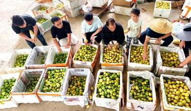 484万高学历青年返乡一年内失败：照搬城市业态，为何批量踩坑？