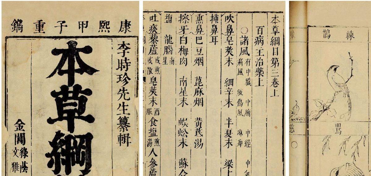 捕蛇人程地明: 86年打死73条毒蛇, 5年后命丧蛇