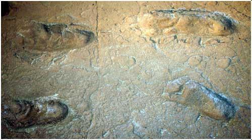 火山足印之谜: 脚印至少有5万年的历史, 甚至有可能是20万年