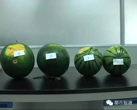2 万吨这种毒西瓜已流入全国各地? 江西人速看真相!
