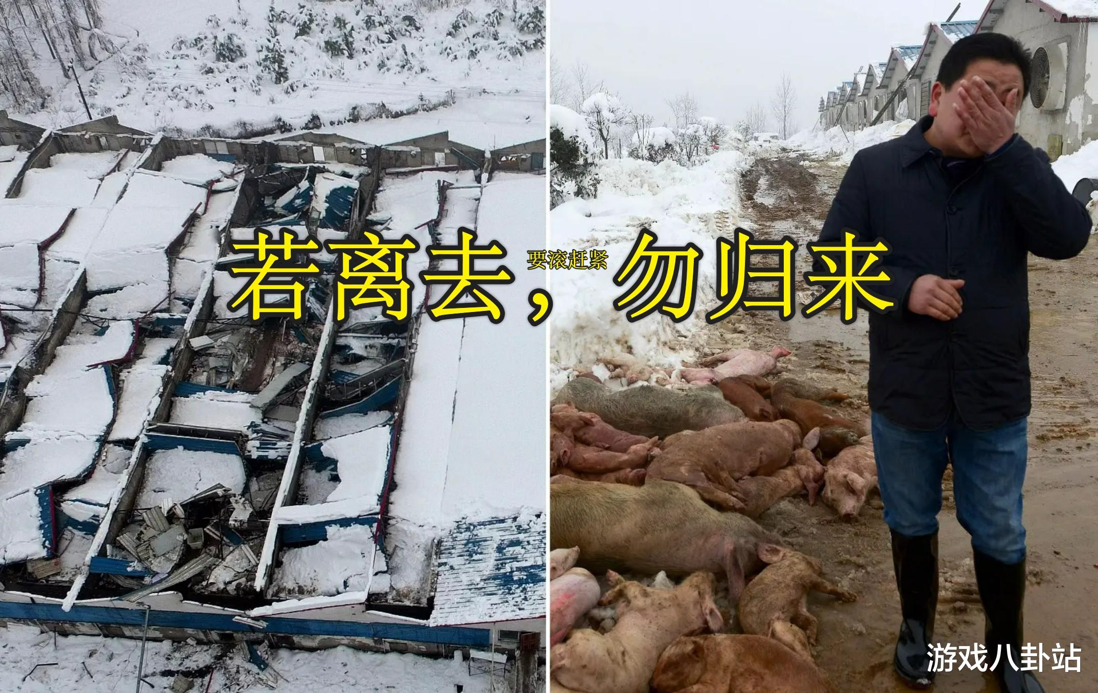 暴雪分手猪厂, 鹅厂米哈游将接手魔兽世界? 这点要求别忽略!