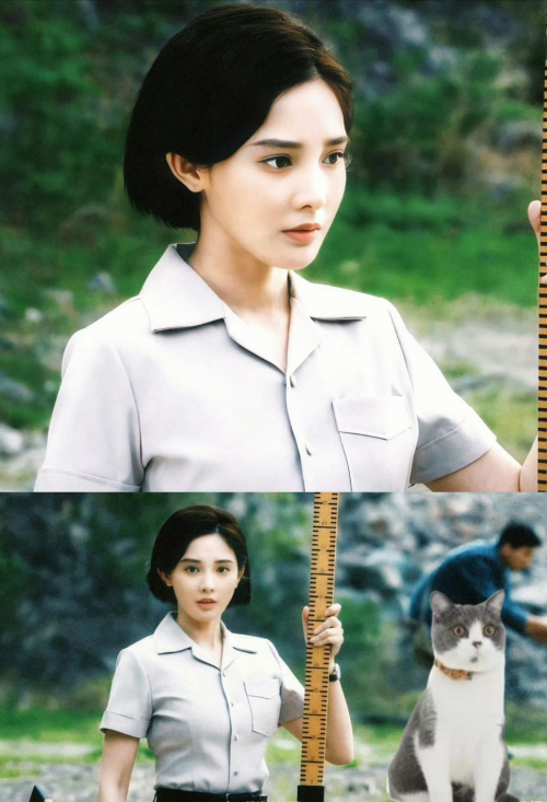 ��С�۵��¾硶��ü�����ʺ϶����ܰ�(��С�� ü��)