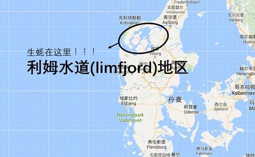 丹麦个人旅游签证办理流程 丹麦签证要多久