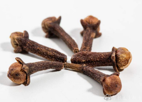 经江西省药品检验检测研究院检验,标示为安国市祁澳中药饮片有限公司