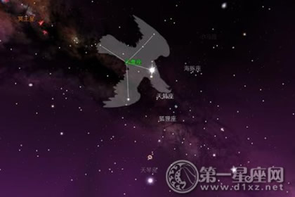 天鹰座星图,天琴座星图,天鹰座图片_大山谷图库