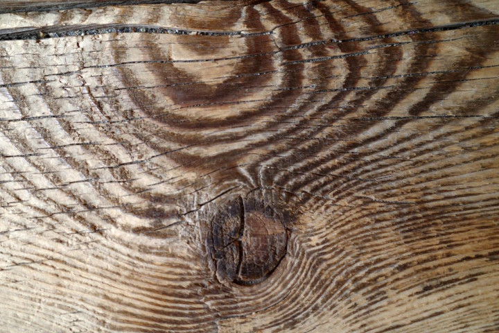 ������Ӿ硶���֡� ����������ζ(���������ȵ�Ů��)