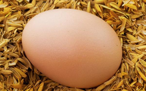 鸡蛋不能和4种食物搭配着吃, 严重会中毒, 吃的人还不少