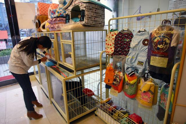 30岁小伙开宠物店, 利用一招“无偿领养”, 年赚300万, 学学人家