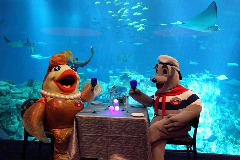 海洋公园 8个劲刺激的机动游戏 玩了吗 舆情资讯 移动版