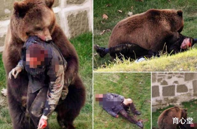 野性難馴! 動物園內棕熊撕咬飼養員隻剩骨頭, 場面令人悲痛-圖1