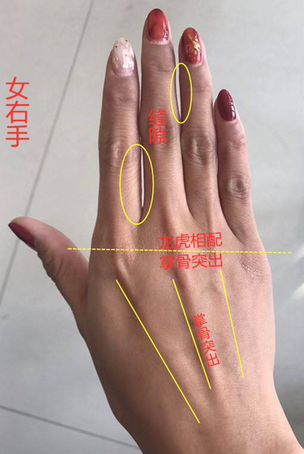 手相 上進能力強 婚姻不利早的特征 時光新聞