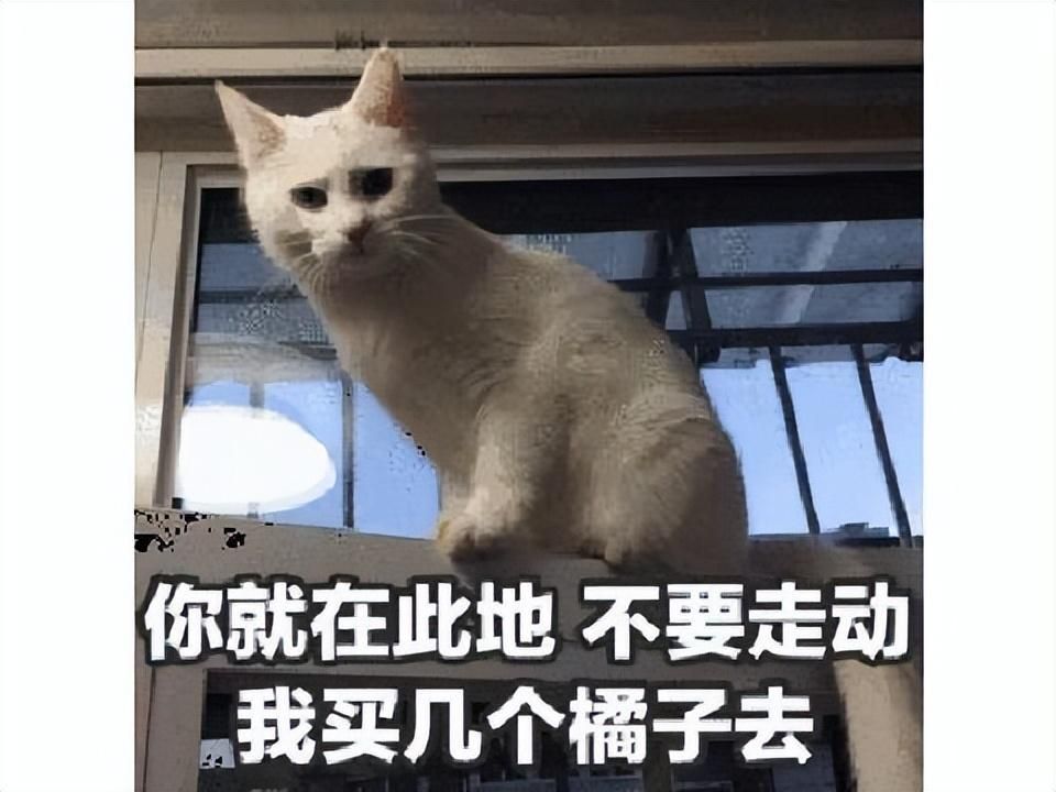 和老爸一起玩游戏，女玩家练级被人追杀，暴怒父亲全服围剿敌人