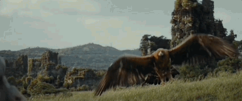 ����30��������Ƭ, 2024��Ҫˬը(�׵��� ˹����)