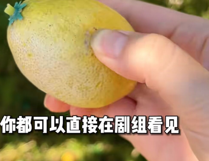 95��Ů��Ա���ؼ��¹�, ����Ա��20��������Ь, ����: ��ż�군��(95��Ů�ǹ�װ)