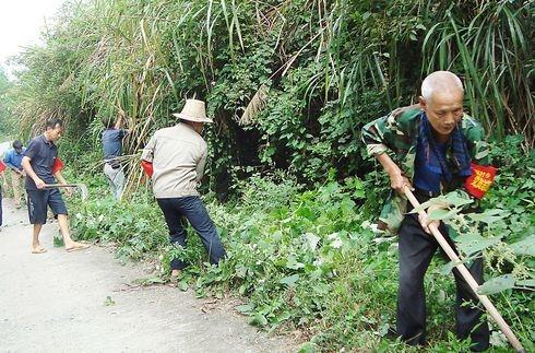 你是一名在职党员, 参加过“8小时以外服务圈”志愿活动吗?