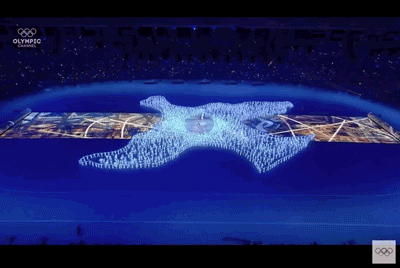 ���걱�����˻Ὰѡ����, ����ı��ʮ��λ���㵼������ӱ����(cctv���˻�������)