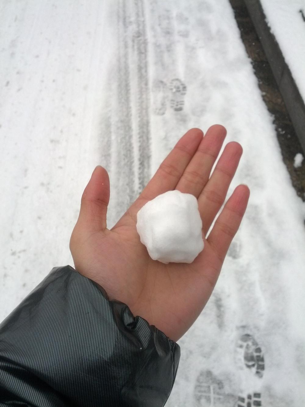 美文共欣赏 感受同分享 小小说: 飞舞的雪球